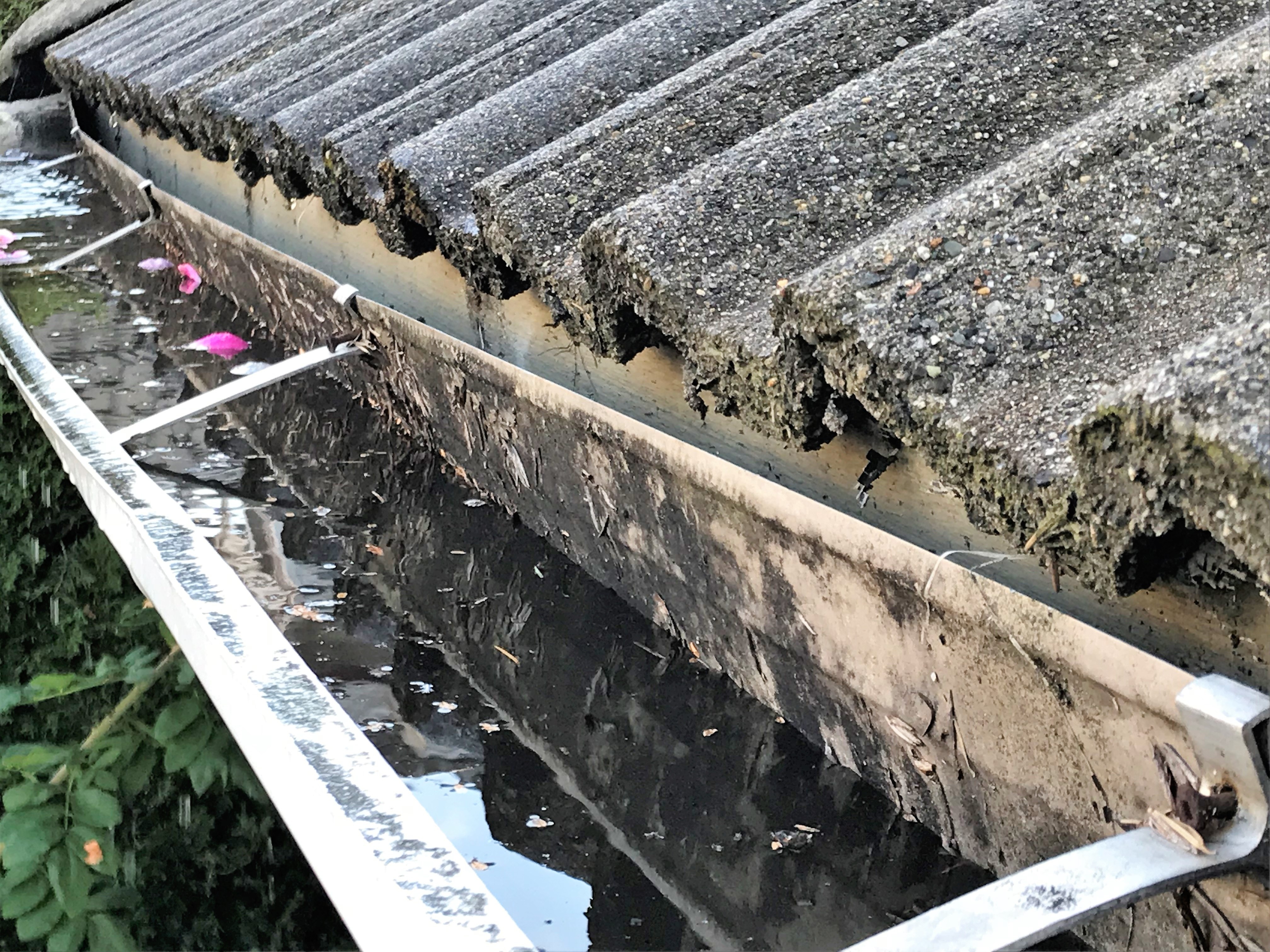 Gutter detached from house
