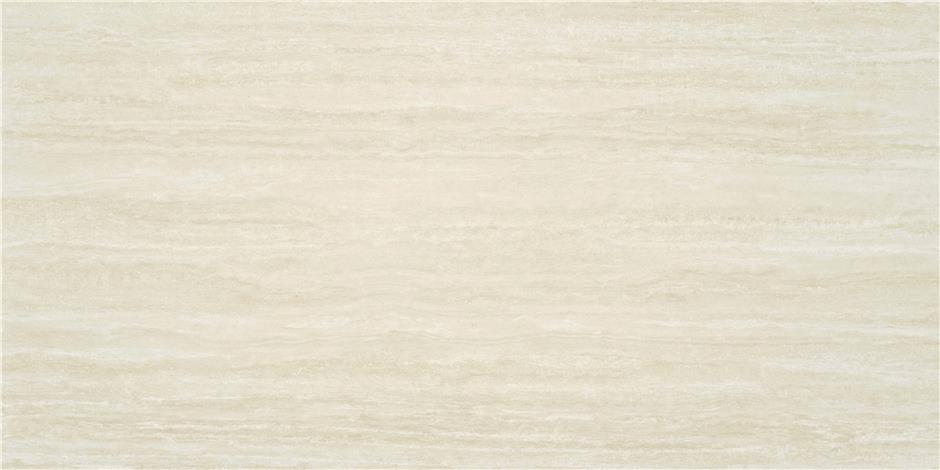 Fortune Ivory matte 12" x 24"