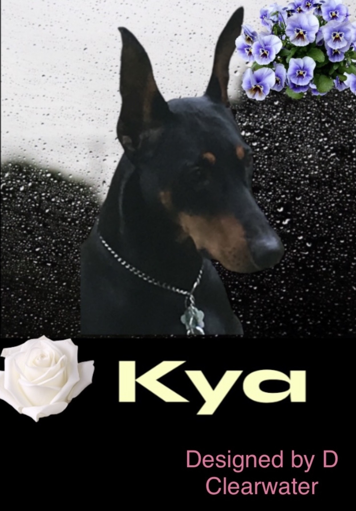 Kya 
