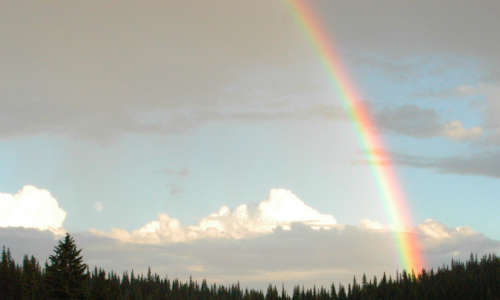 A Rainbow Over the Forest and Lake