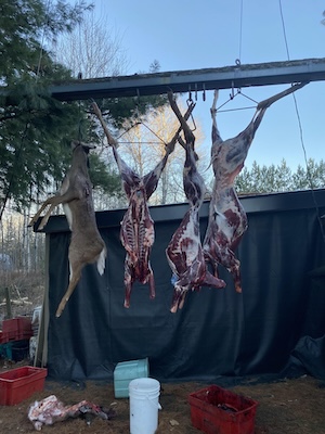 https://0901.nccdn.net/4_2/000/000/060/85f/2024-ontario-deer-hunting-success.jpg