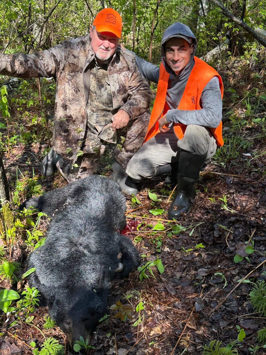 Black bear harvested near Algonquin Provincial Park during a guided hunt.