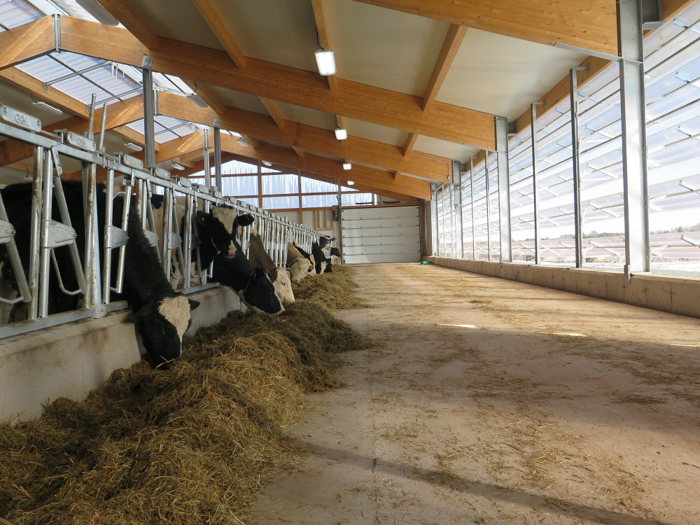 2017 Nova Scotia - Dairy barn