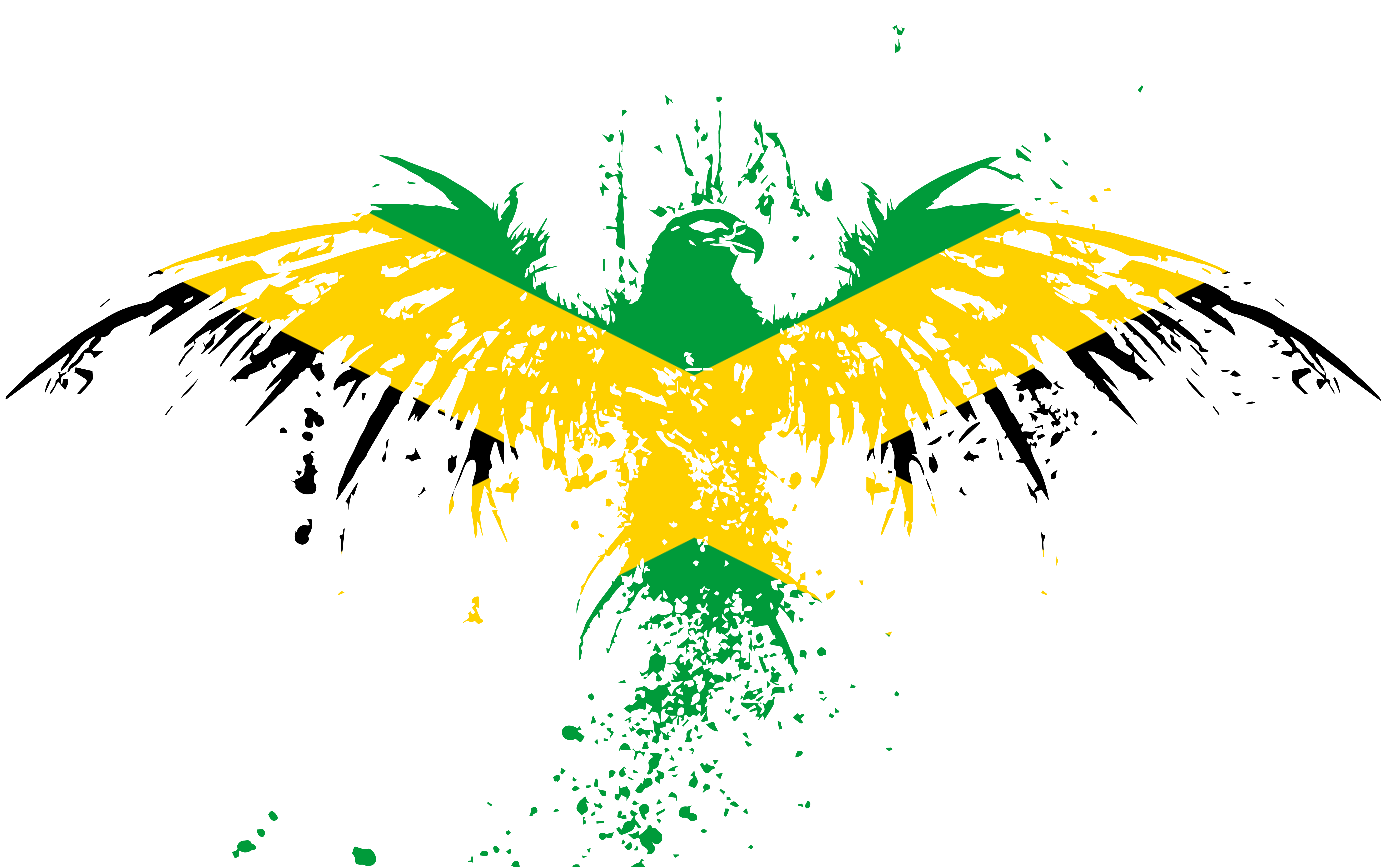 Hat & Apparel Printing, Contour Media Graphics and Custom Vectored illustration GoSexyCA
