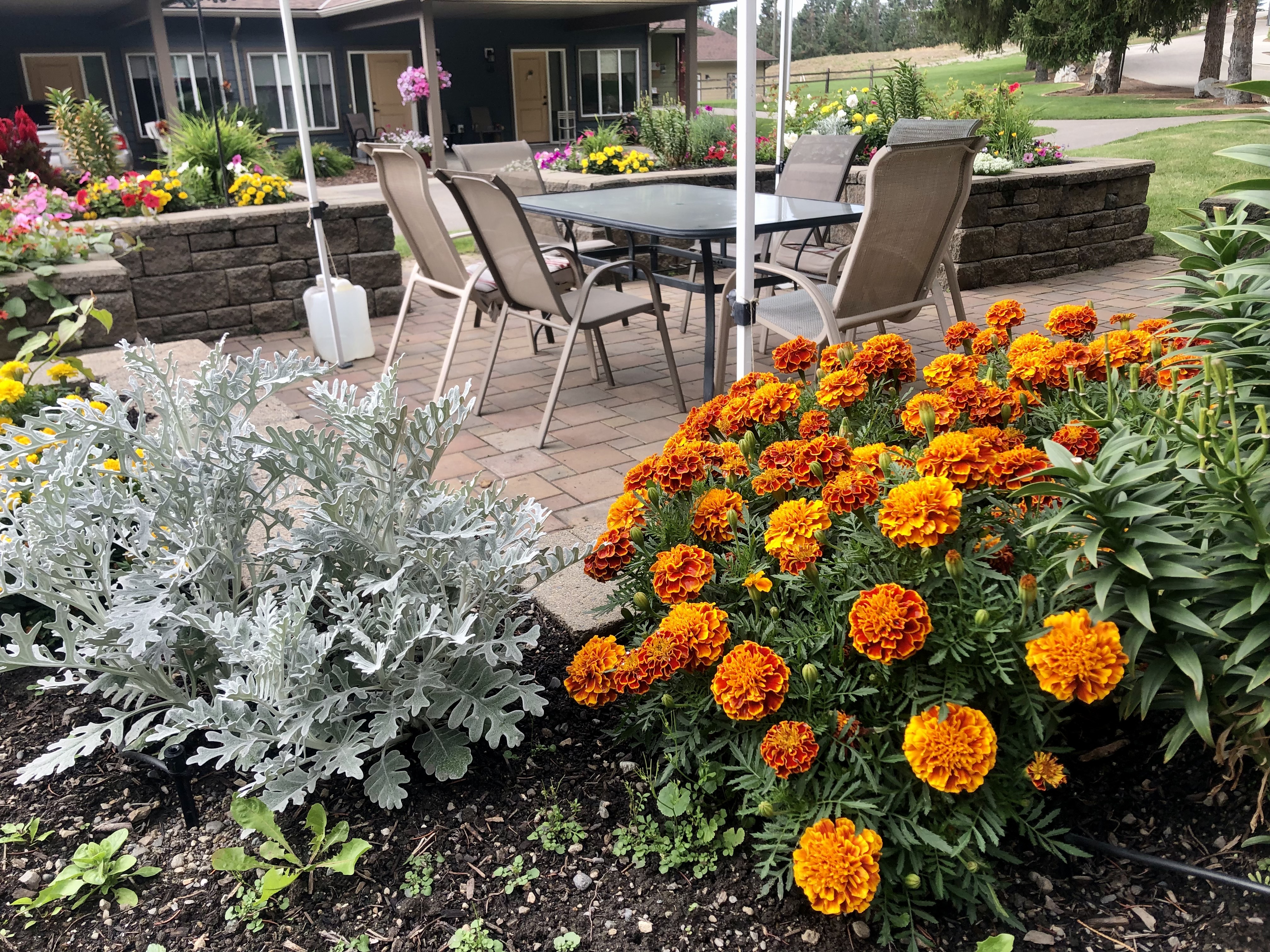 https://0901.nccdn.net/4_2/000/000/060/85f/flowers-4.jpg