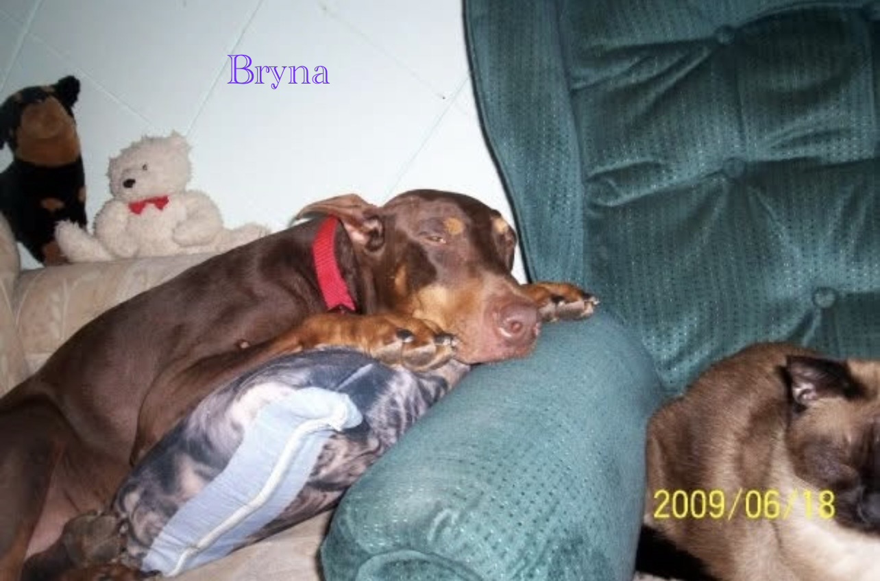 My Bryna girl.mommy sure misses you.always in my ❤️