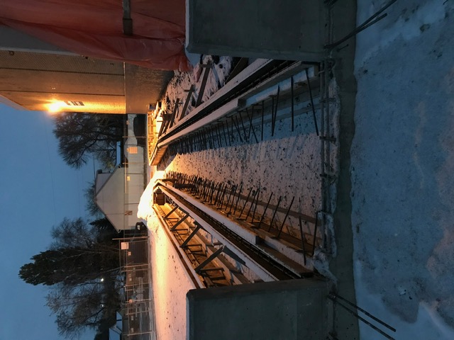 shallow focus photography of potted plants