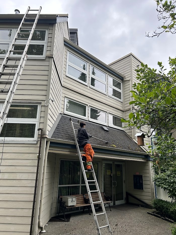 Cleaning inside gutters at Port Coquitlam Senior Citizens Housing Society.