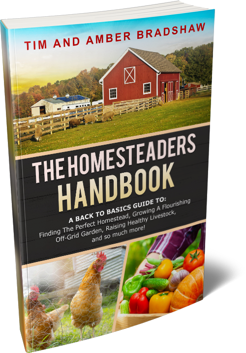 Cover of 'The Homesteaders Handbook' showing a red barn, chickens, and fresh produce, authored by Tim and Amber Bradshaw.