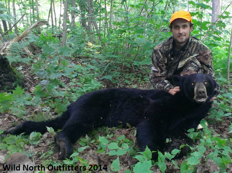 https://0901.nccdn.net/4_2/000/000/064/d40/2014bearhuntremington.png
