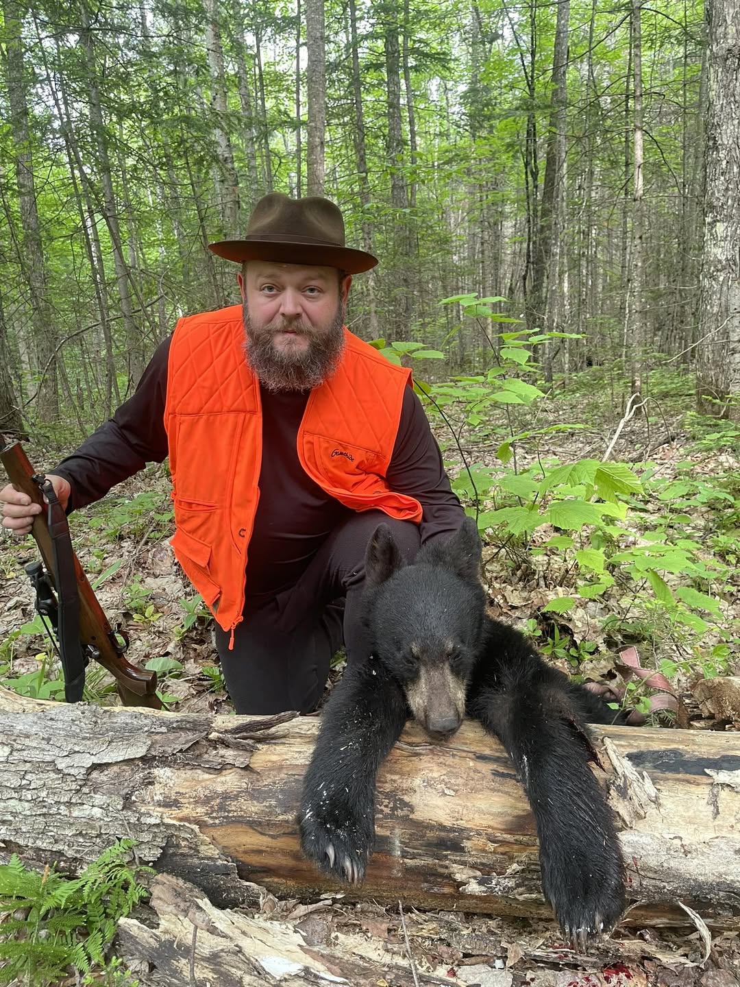 Spring black bear harvested during a guided Ontario bear hunt