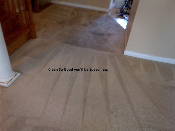 before and after cleaning