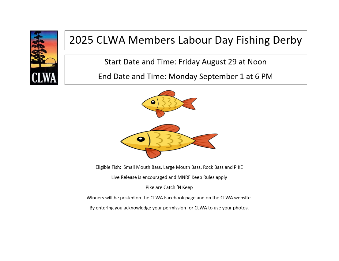 Click here for downloadable and printable version.
