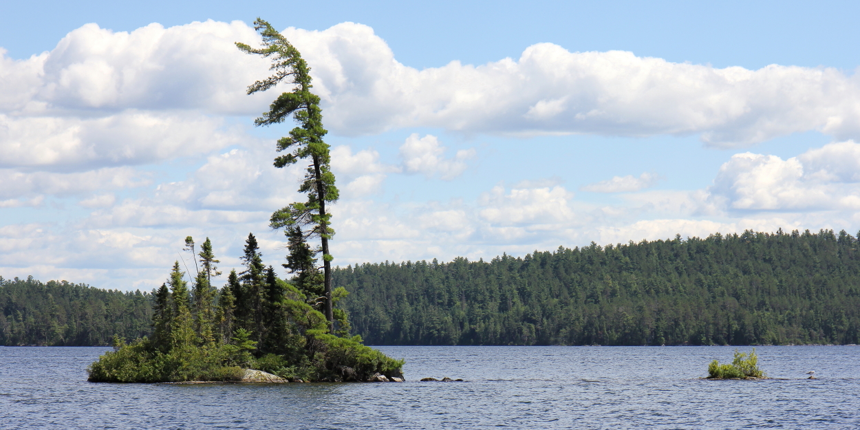 "Iconic Canadian"
Limited Edition Print