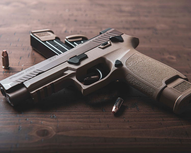 Gun