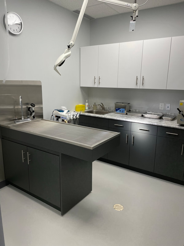 East Plains Animal Hosptial
Dental Suite