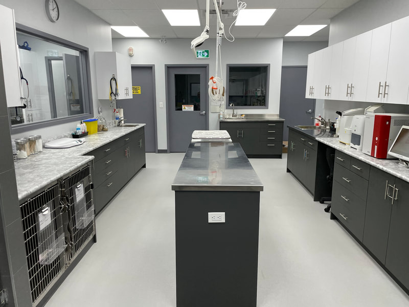 East Plains Animal Hospital
Treatment Area