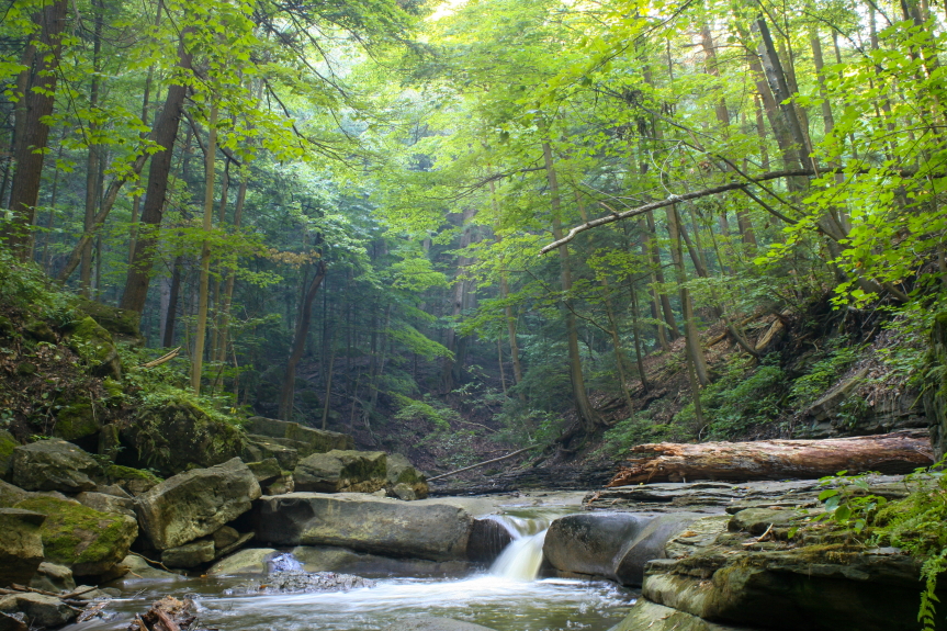 "Webster's Ravine"
Limited Edition Print