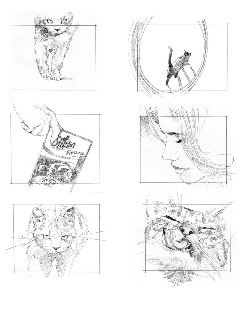 https://0901.nccdn.net/4_2/000/000/06b/a1b/---sheba-page-2.jpg