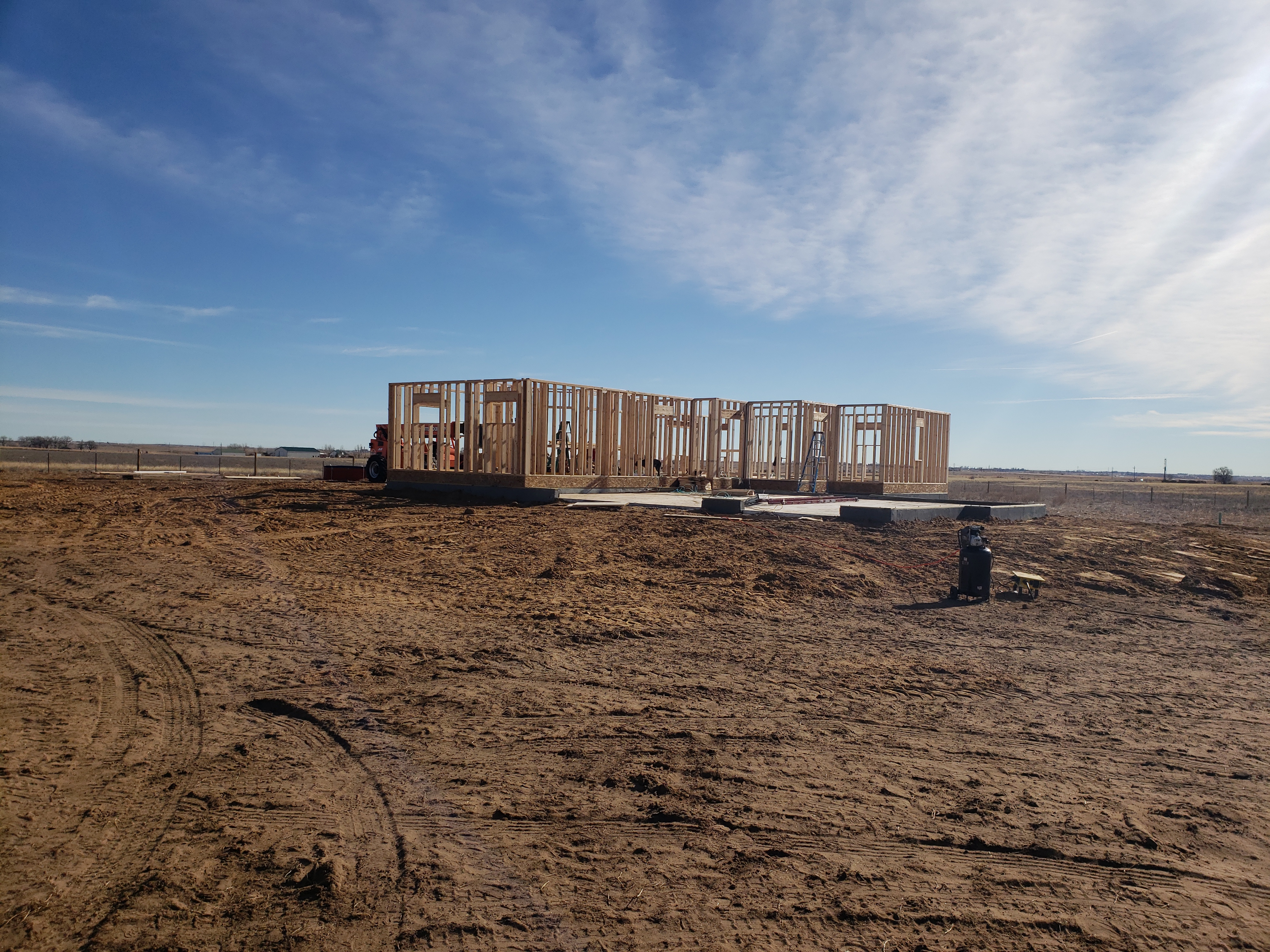 three plant photos on white metal cabinet