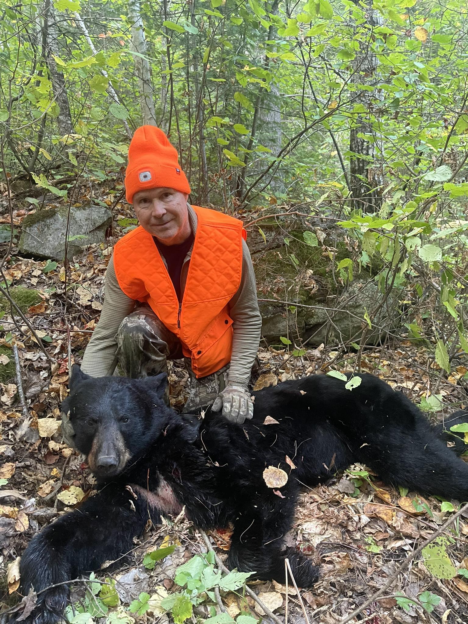 https://0901.nccdn.net/4_2/000/000/06b/a1b/2025-eric-black-bear-with-white-markings-harvest-madawaska.jpg.jpg
