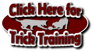 Click to go to the Trick Training page