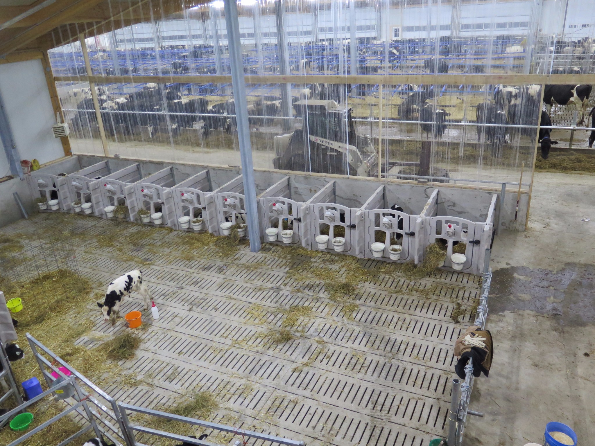 2016 Manitoba - Robot dairy barn