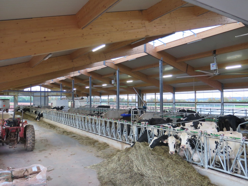 2016 PEI - Dairy barn