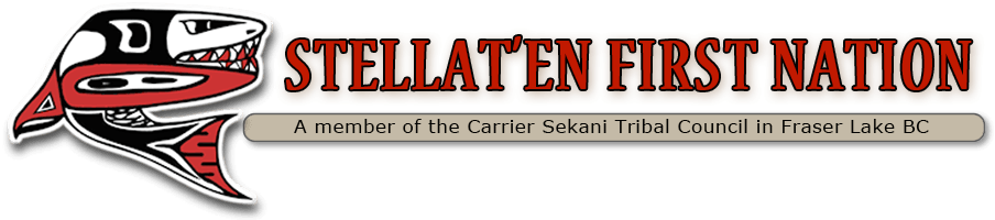 https://0901.nccdn.net/4_2/000/000/06b/a1b/Stellat-en-Nov-2018-904x200.png