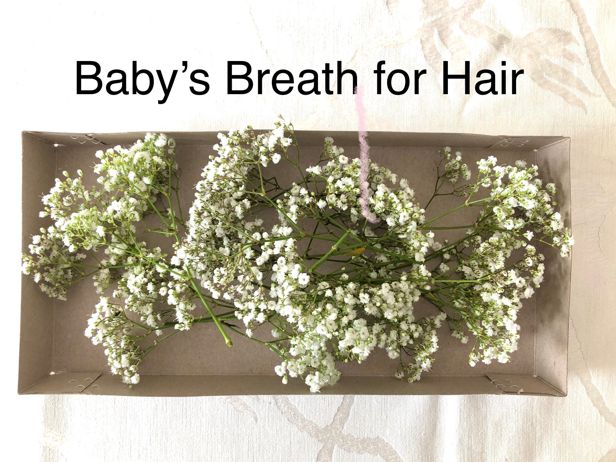 Babies Breath for hair  Toronto Mississauga   LAILA DECOR