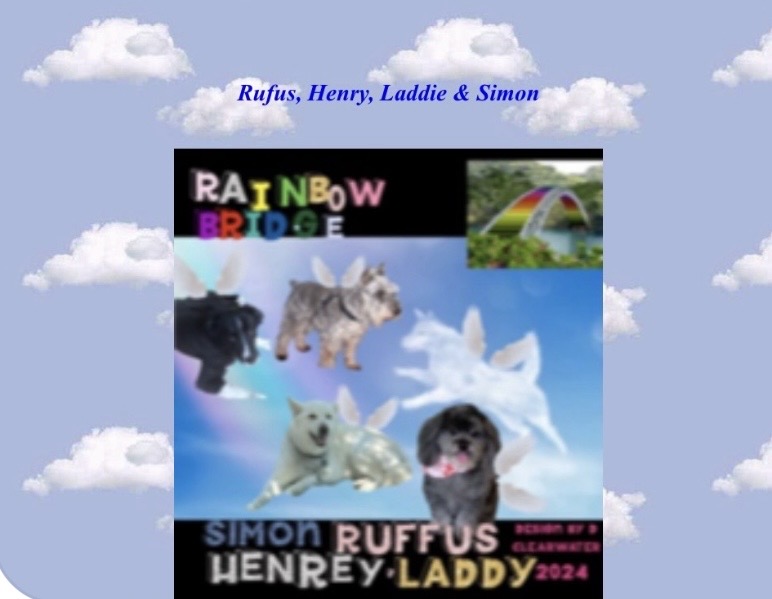 Simon, Rufus, Henry, Laddy(clients dogs)
