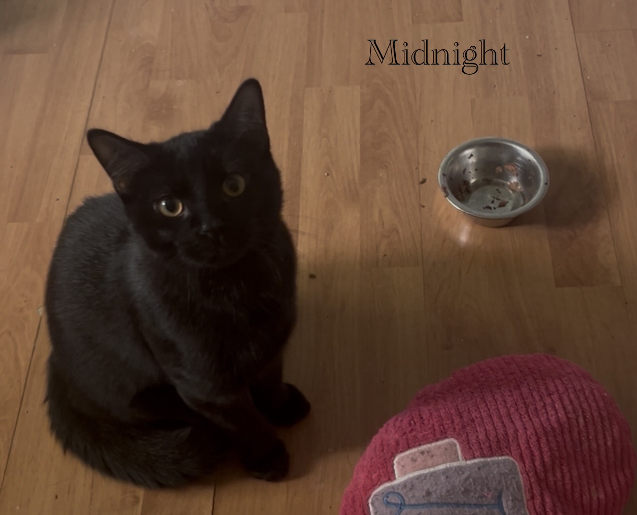 Midnight 