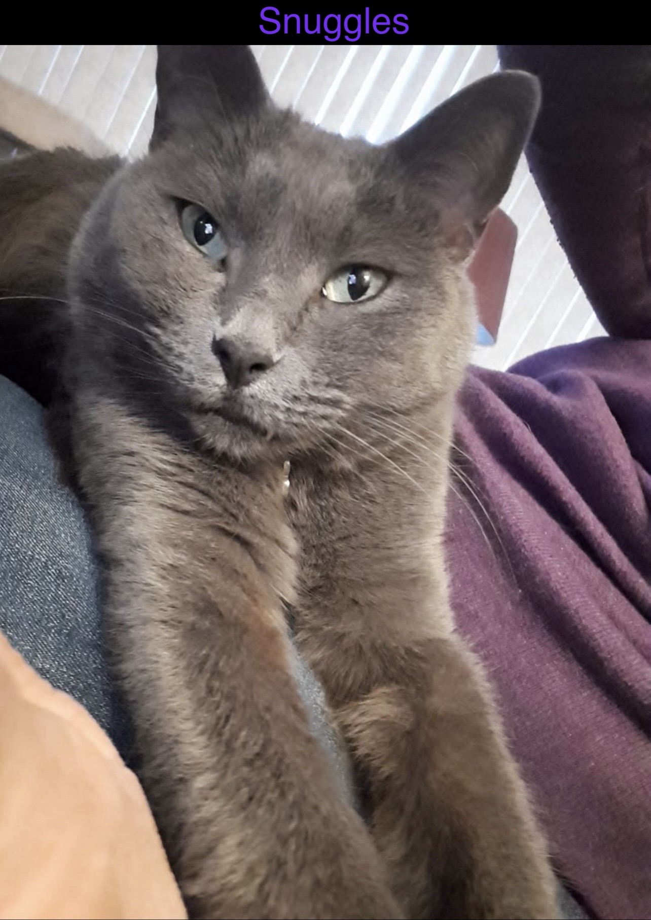 Snuggles