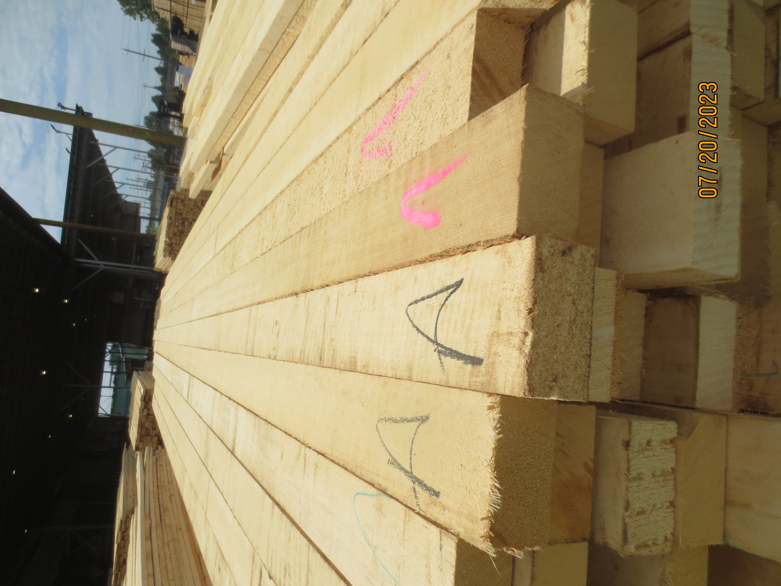 brown wooden logs during daytime