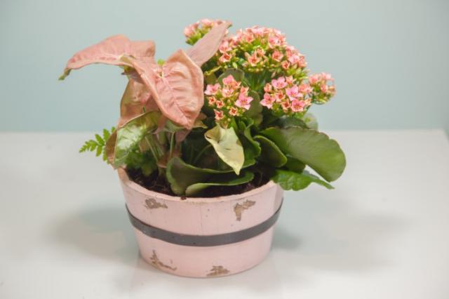https://0901.nccdn.net/4_2/000/000/06b/a1b/lcp-planter.jpg