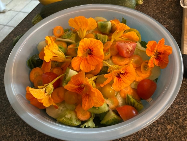 Nasturtium Salad
