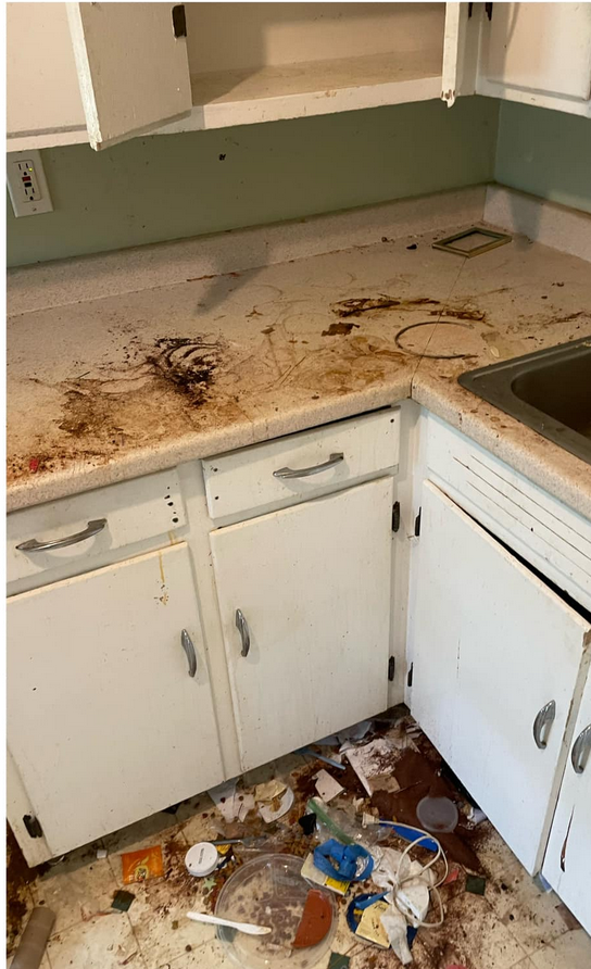 Before Total Kitchen Deep Cleaning Transformation Toronto