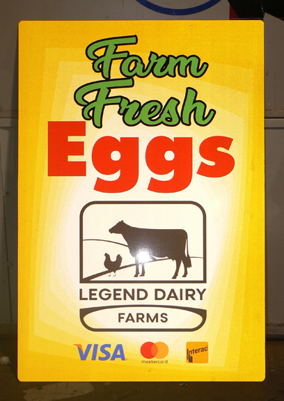 https://0901.nccdn.net/4_2/000/000/06c/bba/farm-fresh-eggs.jpg