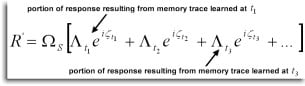 Response to memory traces equation