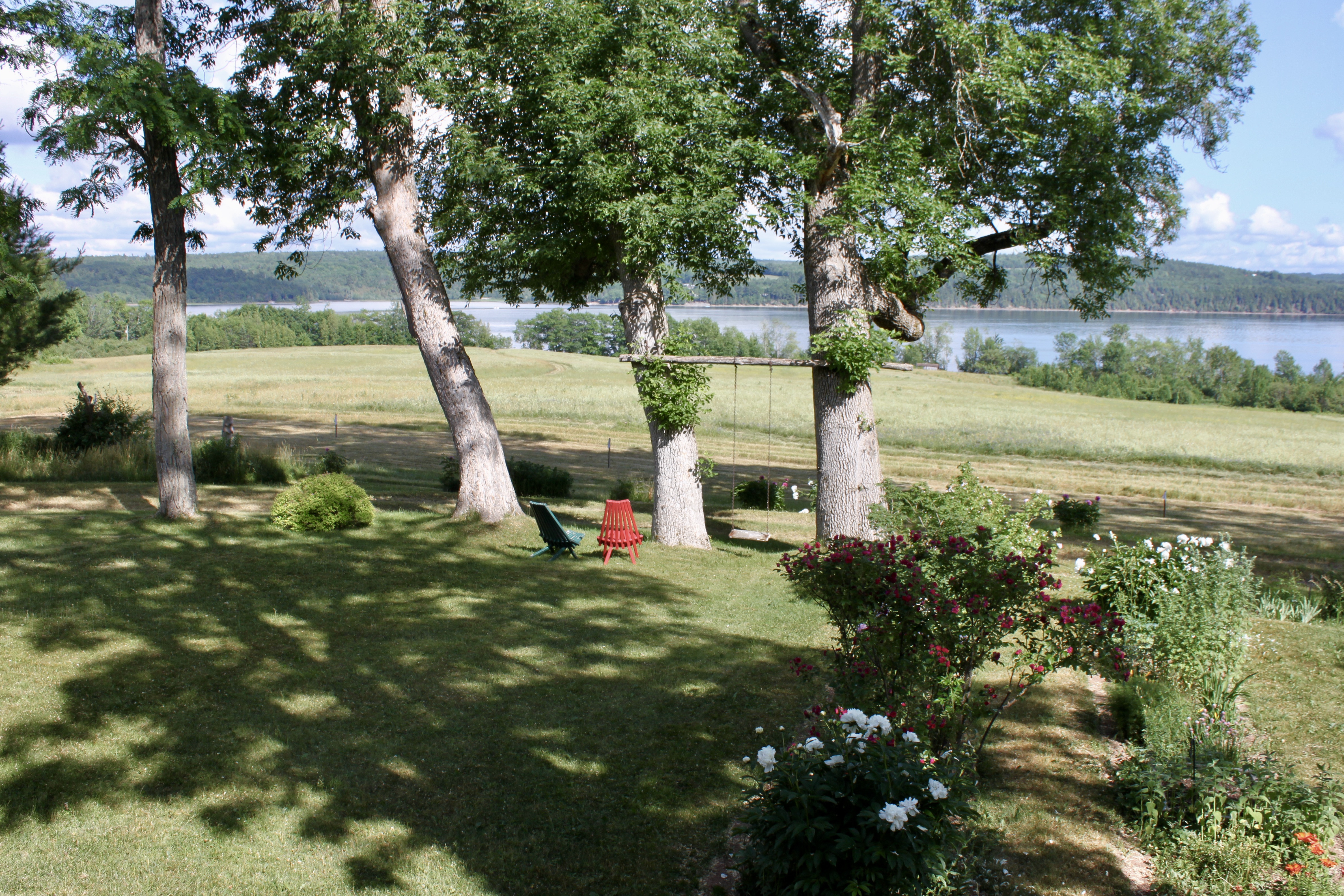 Scenic landscape with a green field, trees, a swing, and a view of a lake under a blue sky.