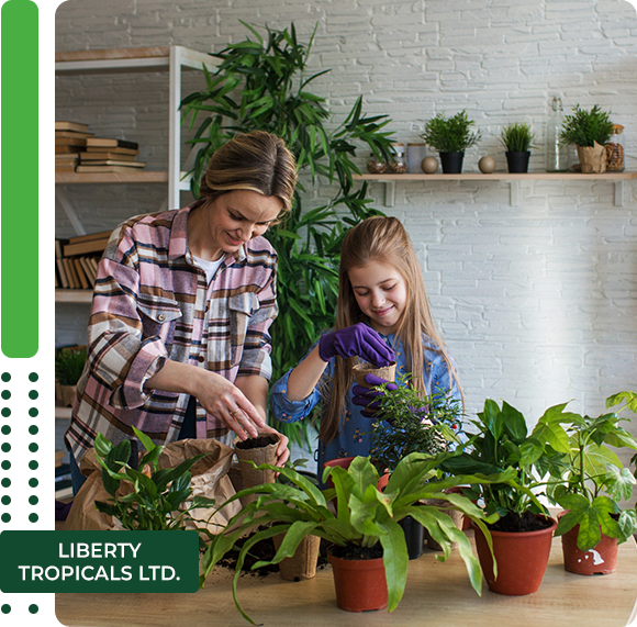 Mother and daughter replanting plants at home