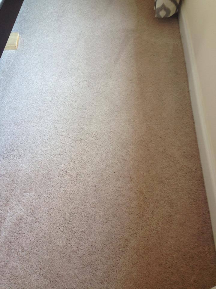 Carpet After Professional Deep Cleaning—Stain-Free Finish