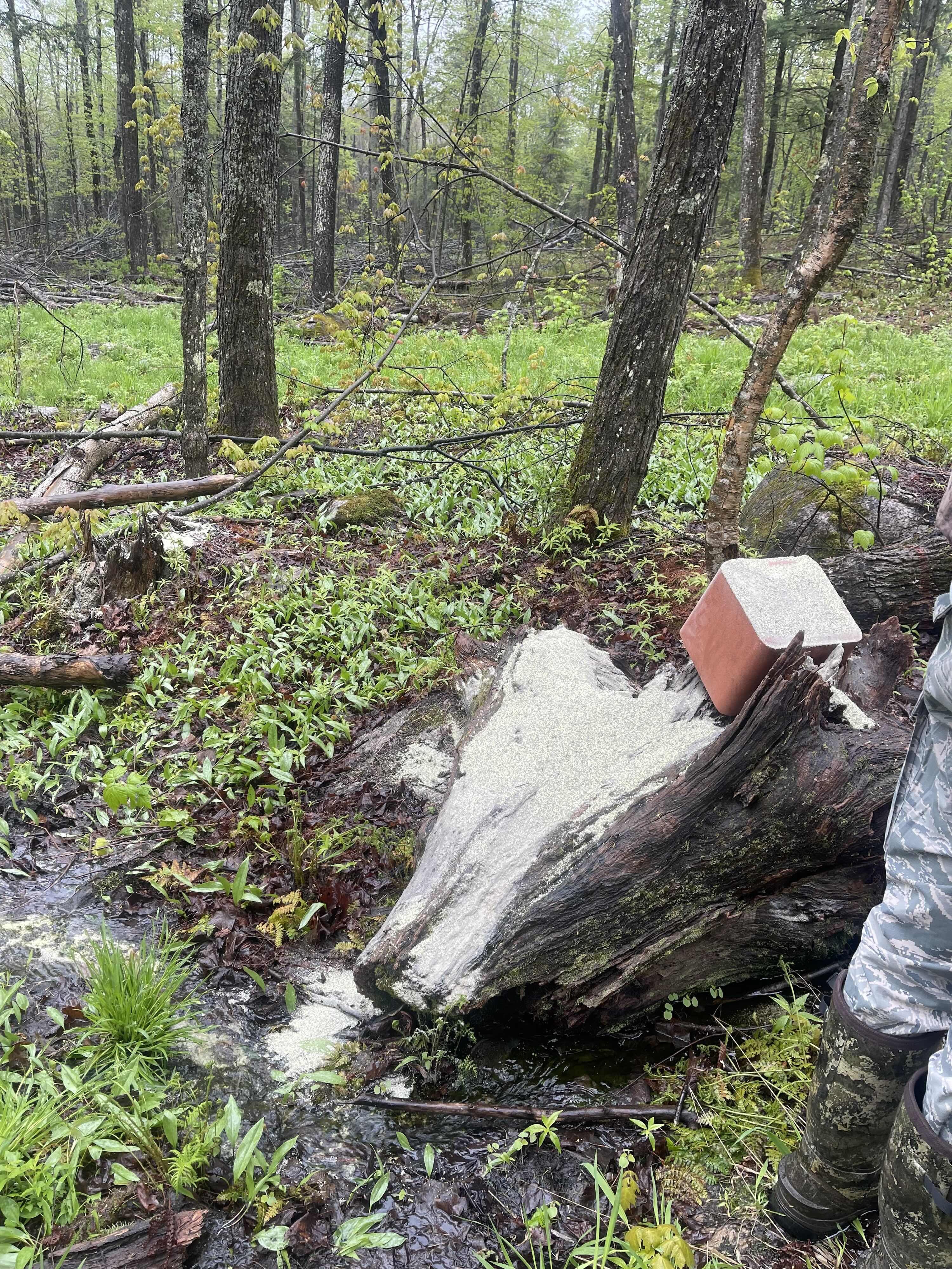 https://0901.nccdn.net/4_2/000/000/071/260/2025-guided-moose-hunting-ontario-mineral-3-copy.jpg