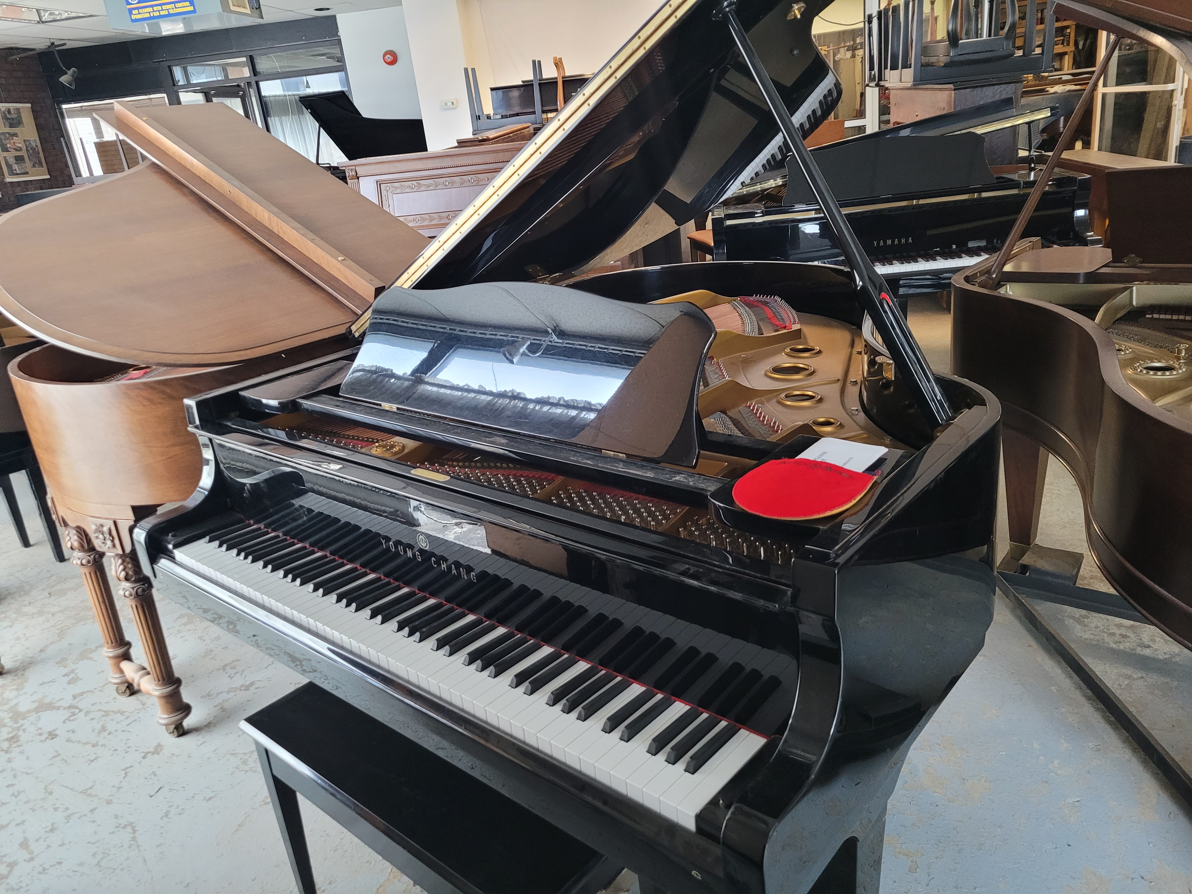 Young Chang G-175, 5'-9", 1997, 9 900$