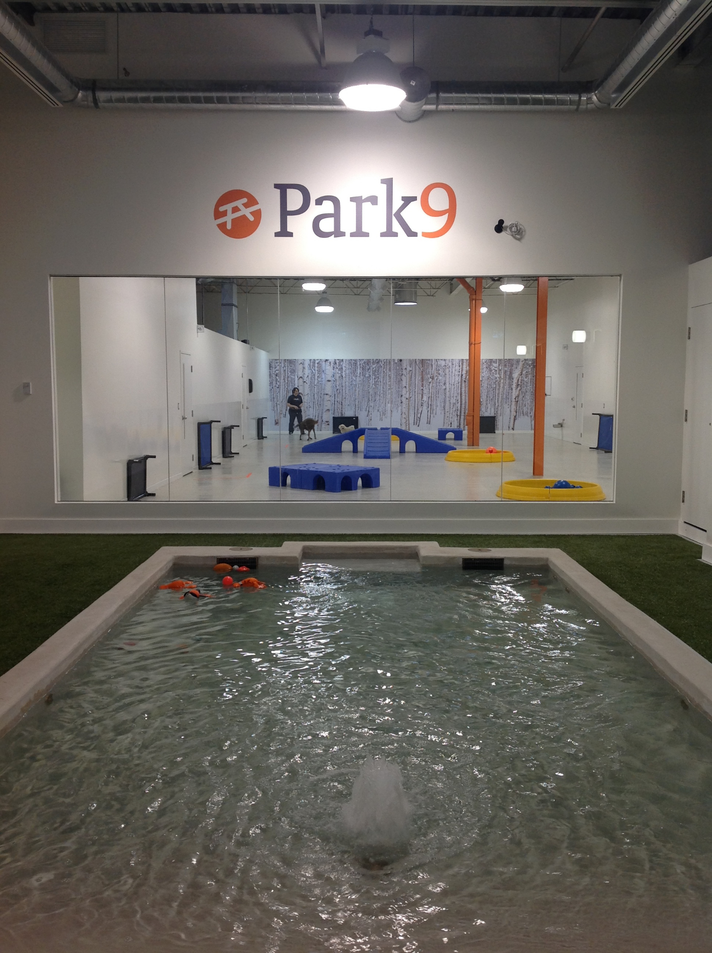 Milne Architect was happy to accept the challenge of helping to create a new pet care typology in Toronto.