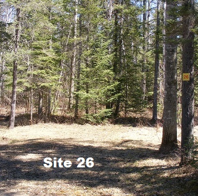 Site 26 - Tent Site