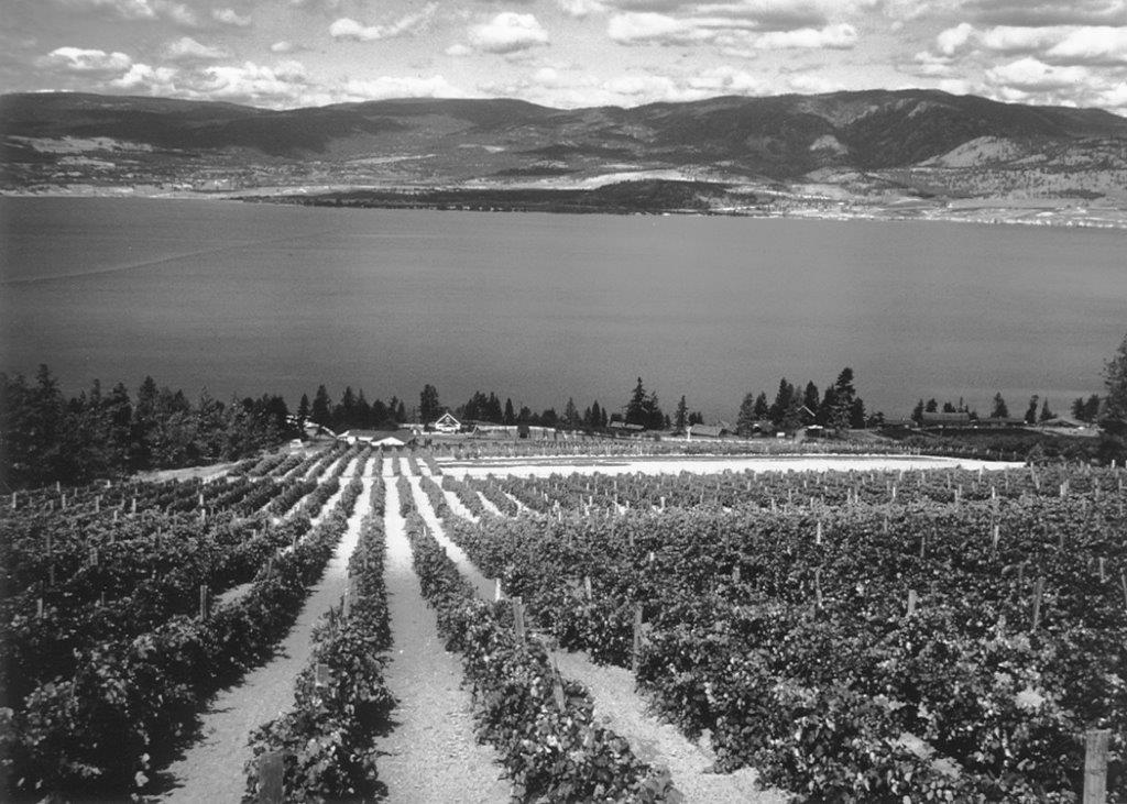 https://0901.nccdn.net/4_2/000/000/071/260/St-Hubertus---Oak-Bay-Estate-Winery-1950s-a.jpg