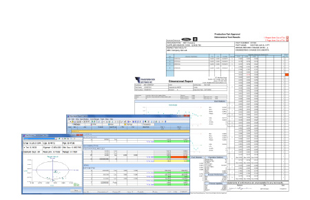 Report Format