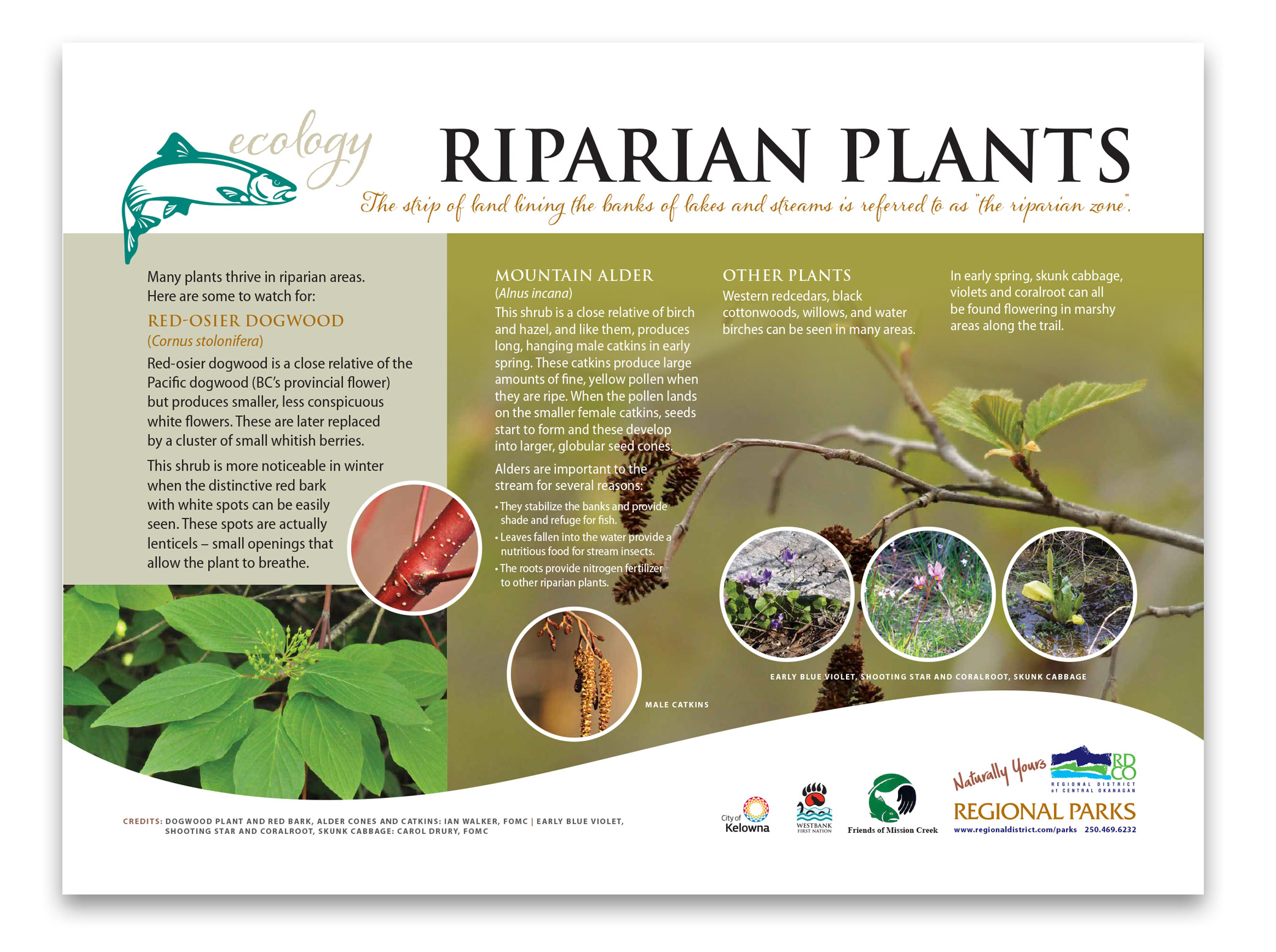 Friends of Mission Creek, Nature Trail, 1 of 26