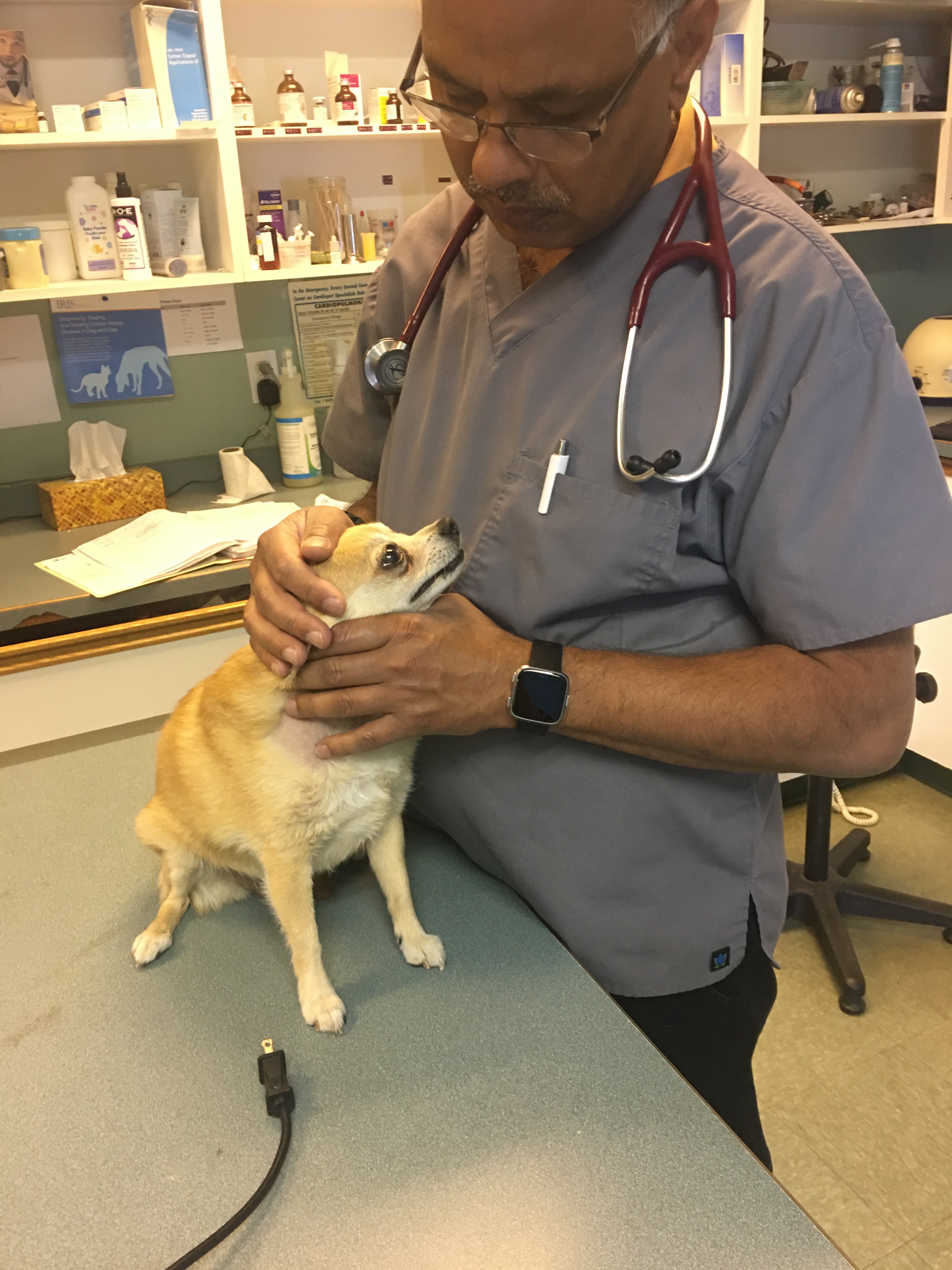 Heritage Animal Clinic And Spay/Neuter Clinic PHOTO GALLERY